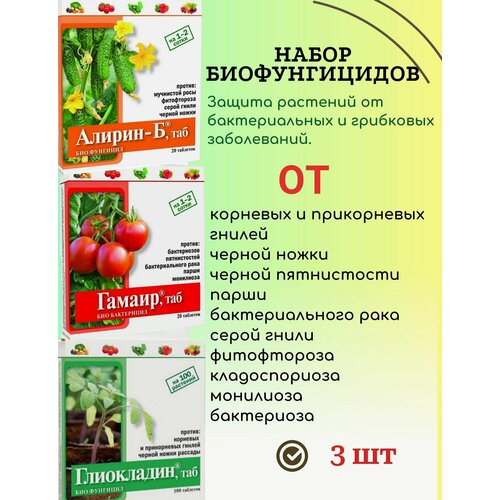 ���� ����� ������������� ������+������+���������� �� ������������� � ��������� ��������, ������ �� 400 ���