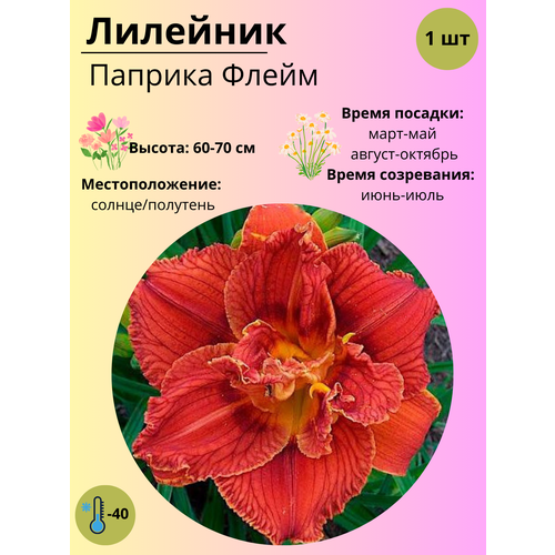 ���� �������� ������� �����, ����������� ����� / ������ 1 ��, ������ �� 380 ���