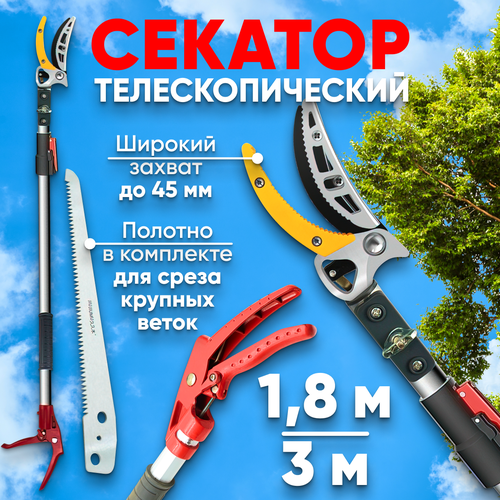 ���� ��������������� ������� ��� ������� ������� ��������, ������� �������� ���������� ���������, ������ �� 4335 ���