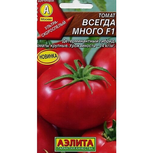 ���� ������ ����� ������ ����� F1 10�� ��� ������ (������), ������ �� 53 ���