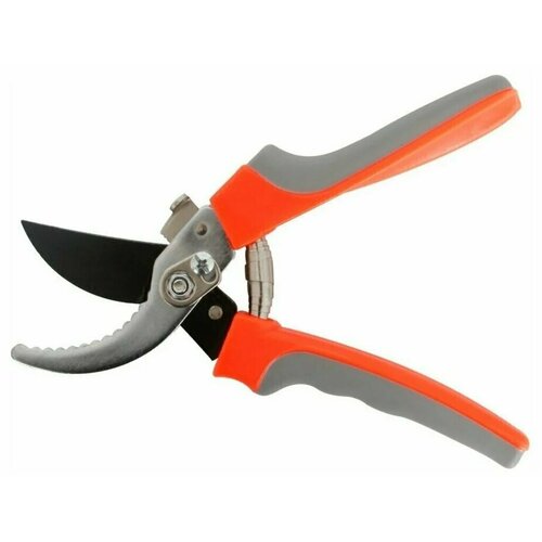 ���� ������� ������� ���������������� / �������� �� ������������������ ����� / ������� Mirus Group, ������ �� 538 ���