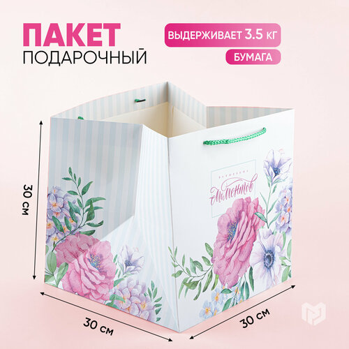 ���� ����� ���������� ������ ������� ��������� ��������, 30�30�30 ��, �����, �������, �������, ������ �� 311 ���