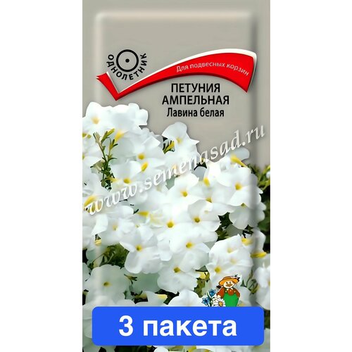 ���� ����� ������� ��������� ������ ����� F1 ����� 3 ������, ������ �� 635 ���