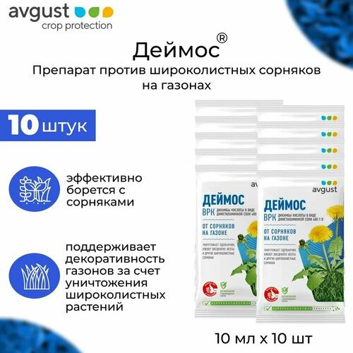 ���� �������� AVGUST 