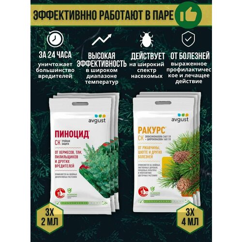 ���� �������� �� �������� � ���������� ������� �������� ������ 4 �� + ������� 2 ��, ����� 6 ��, ������ �� 686 ���