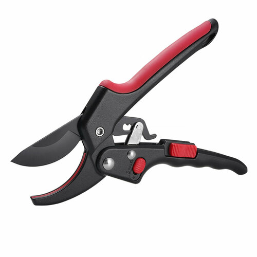 ���� ������� ������� / �������� ������� � �������� ���������� / ������� ��� �����, ������ �� 755 ���