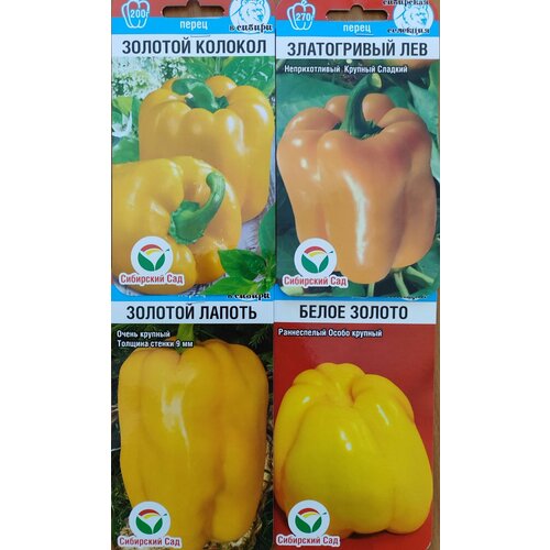 ���� ����� �� 4� ������ ������� ������ ���������� �����, ������ �� 396 ���