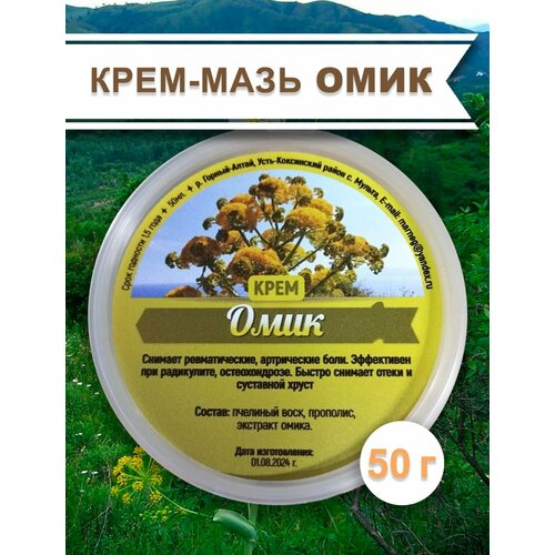 ���� ����-���� ����, 50 � �����, �� ������� �. �., ������ �� 446 ���