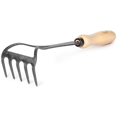 ���� ��������� ������� ����� DeWit, ������ �� 2009 ���