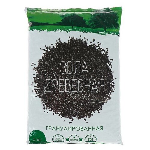   -   , 2 , 2000 , 1 .,   107 