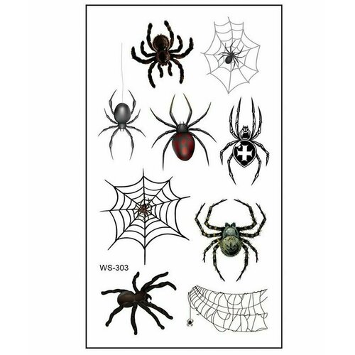 ���� ���������� ���� ��������� ����� ��������, ������ �� 245 ���