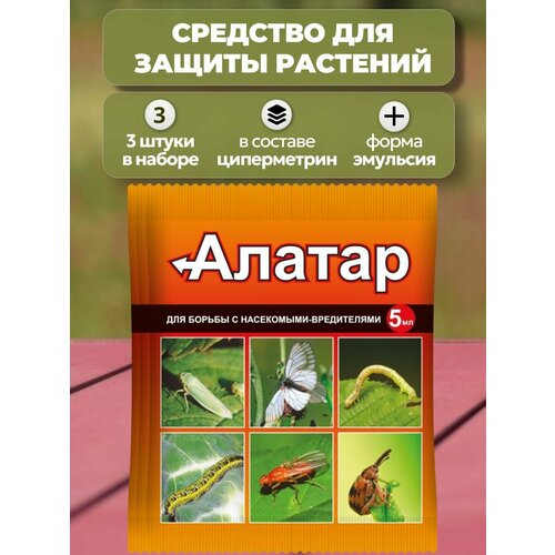 ���� ������ 5 ��, ����� 3 ��, �������� ��� ������ �������� �� ��������� - ����������; �������� ������� � 60 ������ ����������, � ��������� � ����������� �����, ����������, ������ �� 729 ���