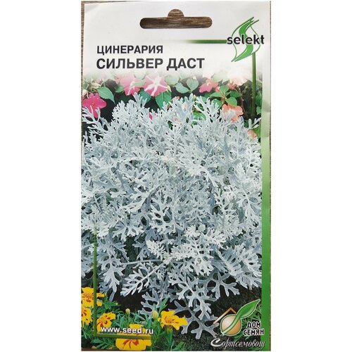 ���� ��������� ������� ����, 15 �����, ������ �� 249 ���