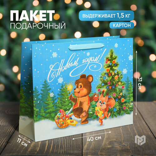 ���� ����� ���������� �������� ����� ����, L 40 � 31 � 11,5 ��, ����� ���, ������ �� 238 ���