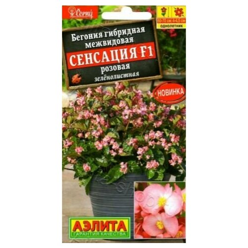 ���� ������� ������������� ������� �������� F1 ( 1 �������� ) , ������, ������ �� 348 ���