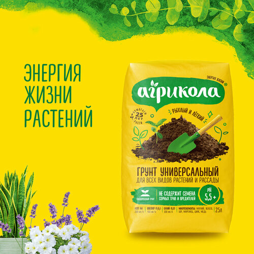 ���� ����� ������������� ��� ������, ������ � ������� ��������, 25 ������, ������ �� 755 ���