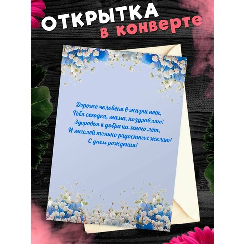 ���� �������� �6 � �������� � ���� ��������, ����!, ������ �� 268 ���