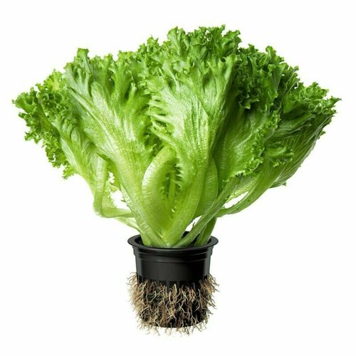    ,              , 20 ,   259 