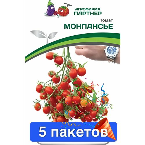 ���� ������ ������ ��������� ������� 