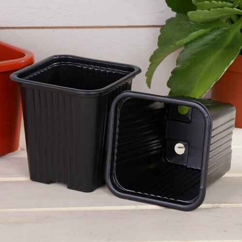 ���� ������ ��� ������� 520 ��, ����� �������� ��� ������� 100 ��, 9 � 9 ��, ����������, ������ �� 929 ���