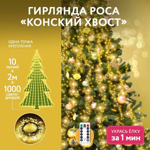 ���� �������� ������������ ���� 