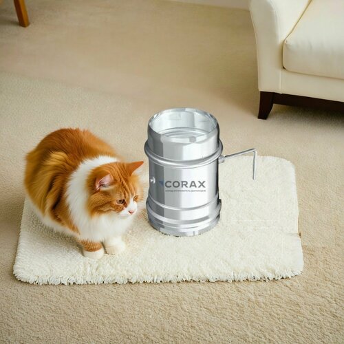 ���� ����� ��� �������� �� ����������� ����� 