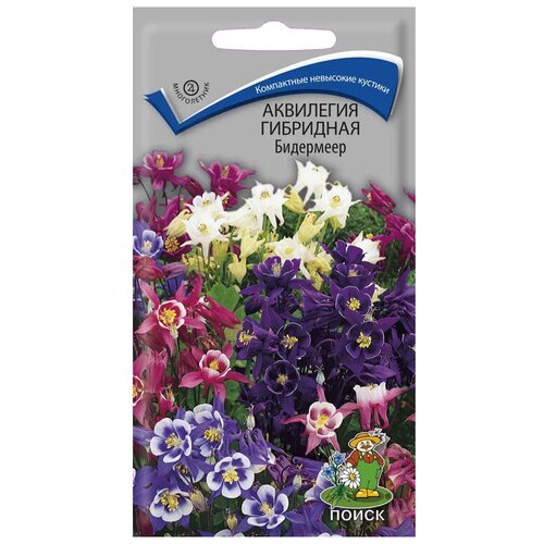 ���� ������ ����� ��������� ��������� ��������� 0.1 �, ������ �� 39 ���