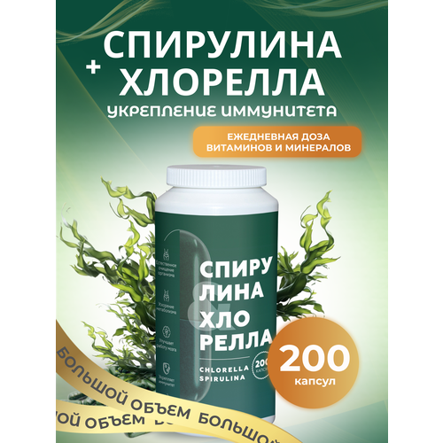 ���� ��������� � �������� � ��������, 200 ������, �������� ��� ������� � ��������, ������ �� 460 ���