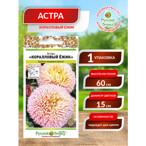 ���� ����� ���������� ����, ������ �� 238 ���