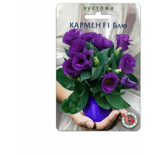 ���� ������ ������� (����������) ��������� 