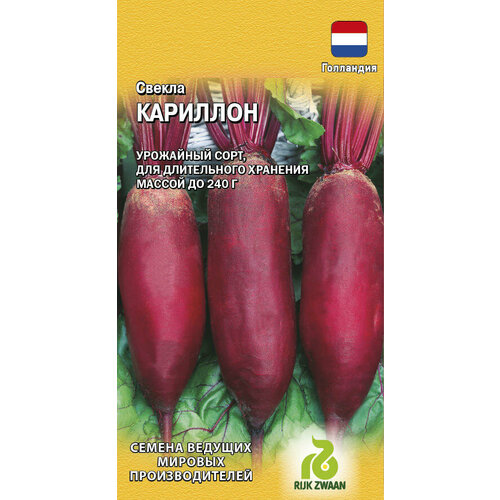 ���� ������ ������ �������� 1� (������), ������ �� 64 ���