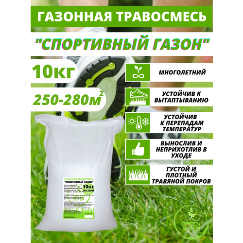 ���� �������� ����� ������, ����� �������� 10 ��, ������ �� 4620 ���