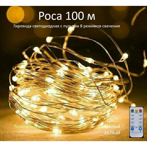 ���� �������� ���� 100� � ������� ����������, Ƹ����, ������ �� 2199 ���