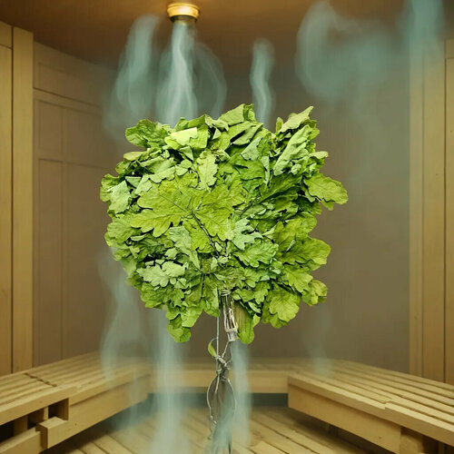 ���� ������� ����� 