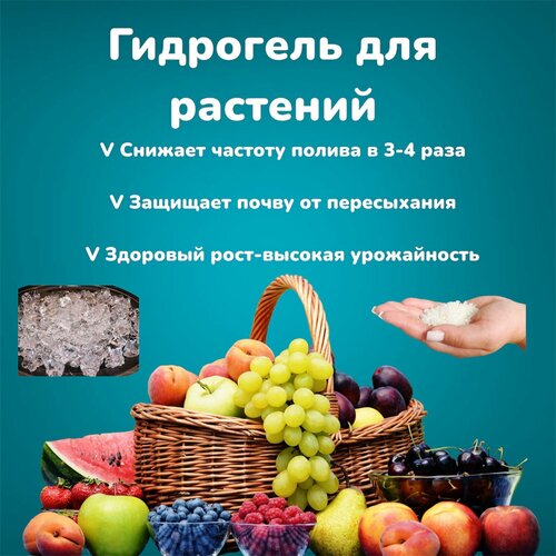 ���� ��������� ��� �������� �� �������� ������ (������� 1-2 ��) 500 ��, ������ �� 670 ���