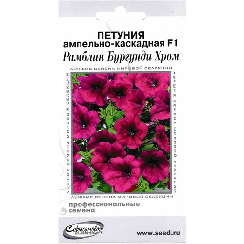 ���� ������� ��������-��������� F1 ������� �������� ����, 5 �����, ������ �� 371 ���