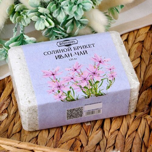 ���� ������� ������ 