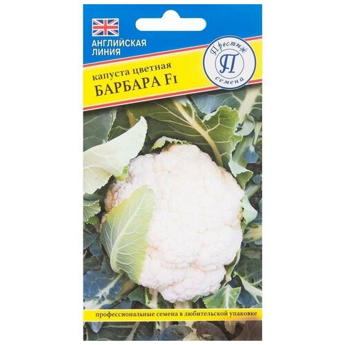 ���� ������ ������� ������� 