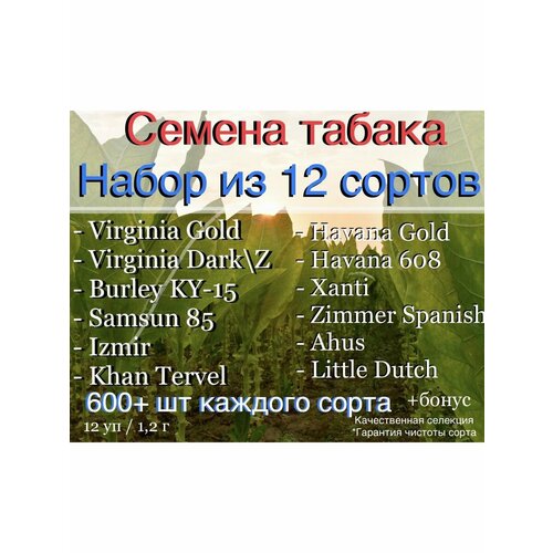 ���� ������ Andrey Masloff - Company, ������ �� 620 ���