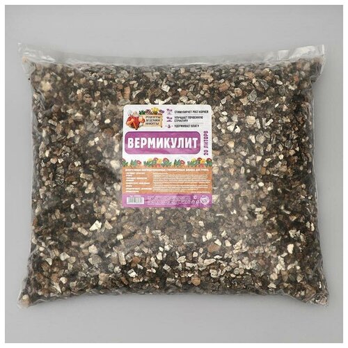 ���� ���������� 