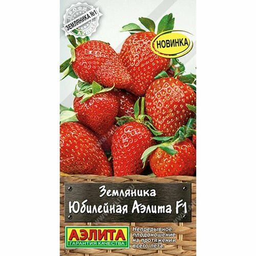 ���� ������ ��������� ��������� ������ F1 (������) 10�� �����-������, ������ �� 87 ���