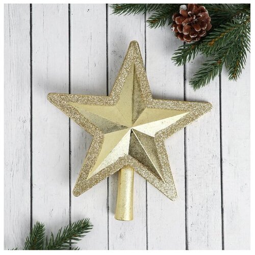       5043529/5043530, , 19 , 1 .,   508 