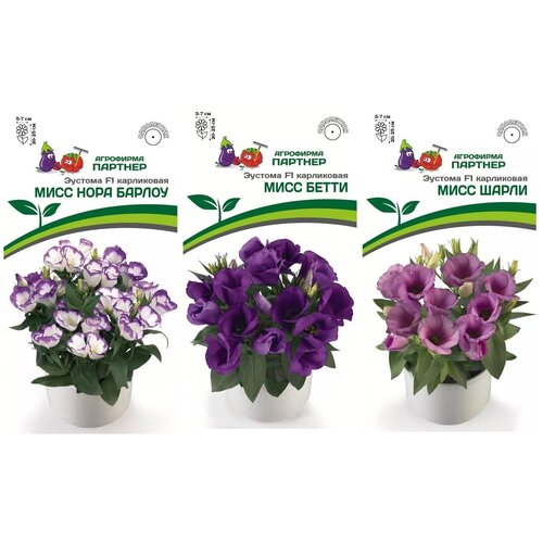 ���� ����� ����� ������� ���������� �� �������� ���� ���� ������ F1, ���� ����� F1, ���� ����� F1 /��������� �������/ 3 �������� �� 5 �����, ������ �� 750 ���