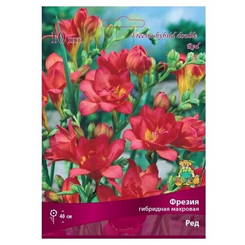 ���� ����, ������ ����� ��������� �������� ���, 10 ��, �������, ������ �� 399 ���