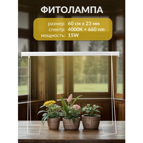 ���� ��������� ������������ �������� 60 �� 15W; 4000K+660Nm; 60 �� ���� ������� ��� �������, ����������� � �������� ��������, ������ �� 990 ���