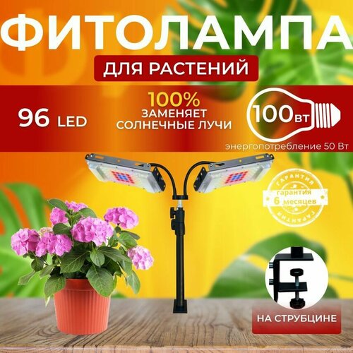          , 2       ,  ,   4200 