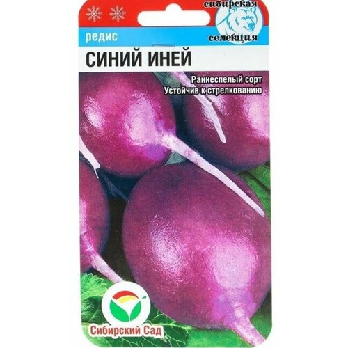 ���� ��������� ��� ������ ����� ����� ����, 2 �, ������ �� 51 ���