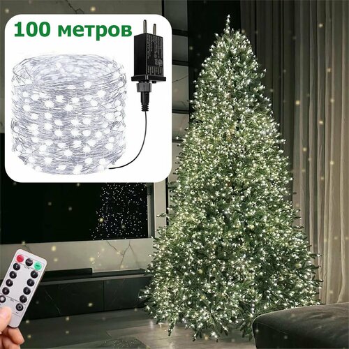 ���� ��������������� ���� ������������ ���� ������� 100 �. ��� ��������, ���� �������� �����, ������ �� 2555 ���