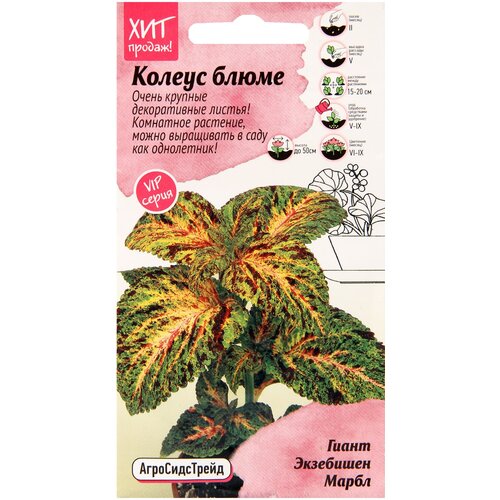        10 ,       ,   ,   ,   540 