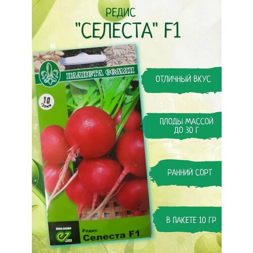 ���� ������ ����� ������� 10 �����. ���������� ��������, ������ �� 390 ���